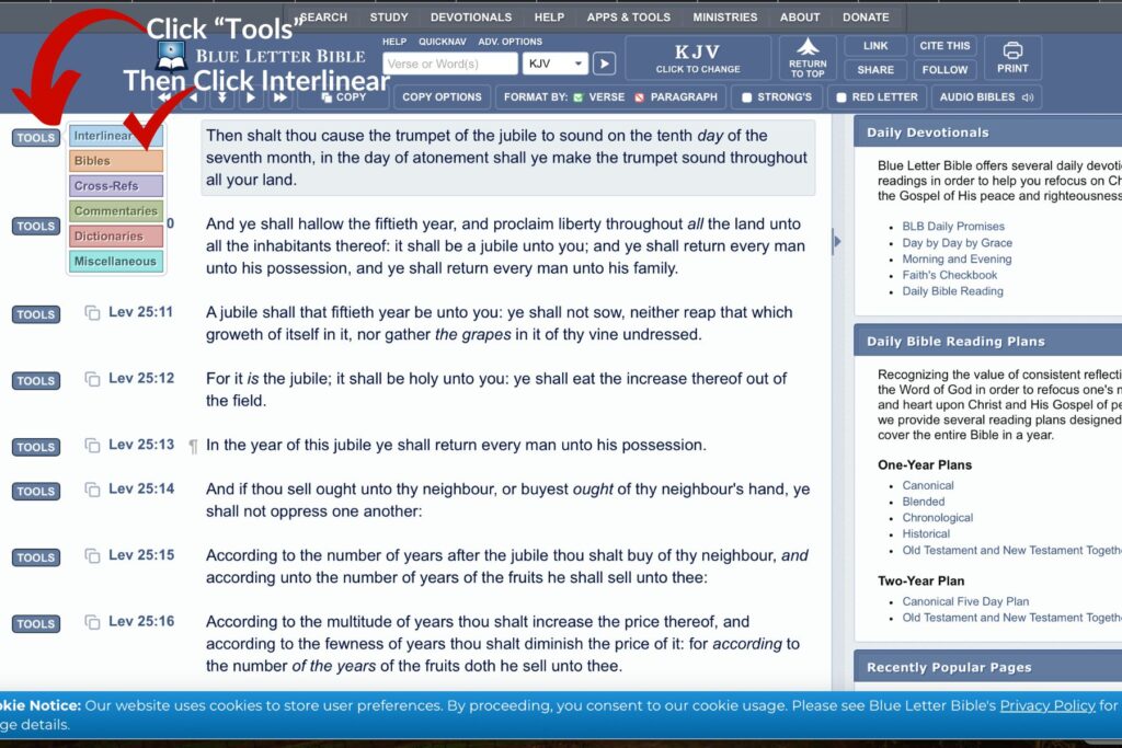 Then select to view that verse in an interlinear Bible.