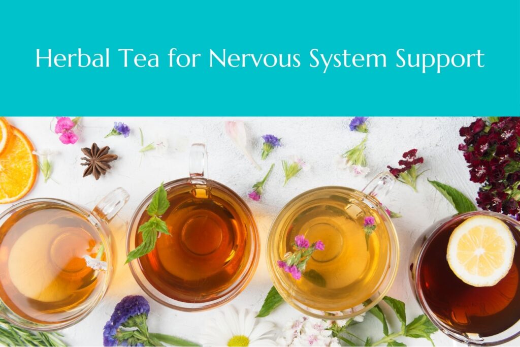 Learn About Nervous System Support Here!