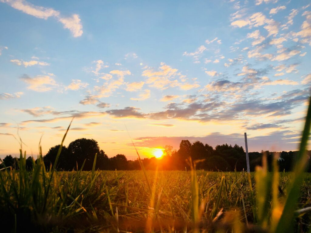 Spend time in the morning sun.